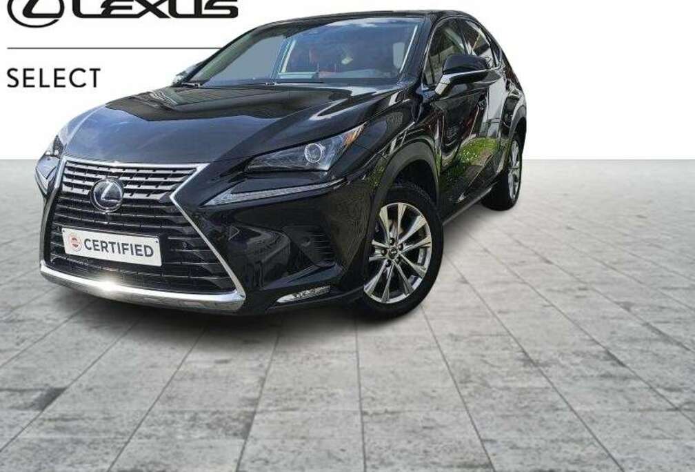 Lexus Executive