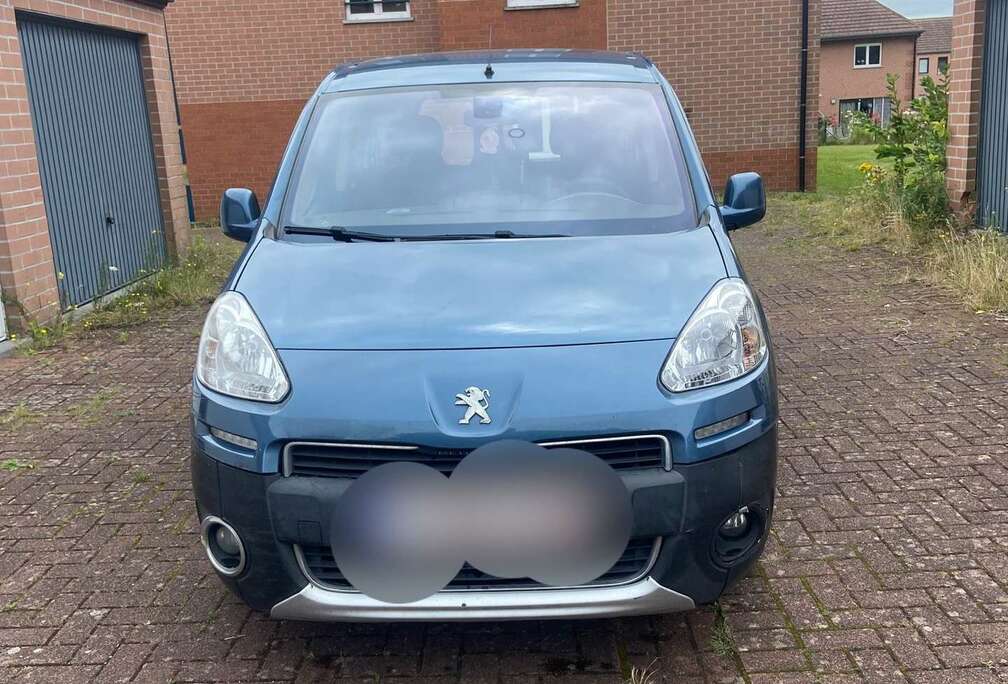 Peugeot Tepee 1.6 HDi Premium FAP