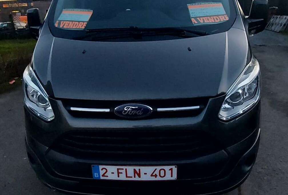 Ford 2.2 TDCi L1H1 Ambiente