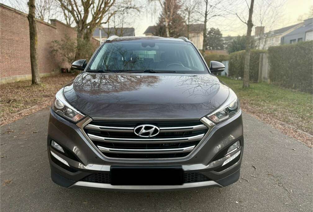Hyundai 2.0 CRDi 4WD Executive 2wd