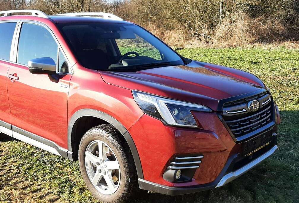 Subaru Subaru Forester 2.0 TREND  abnb.AHK *M+S 1. Hand