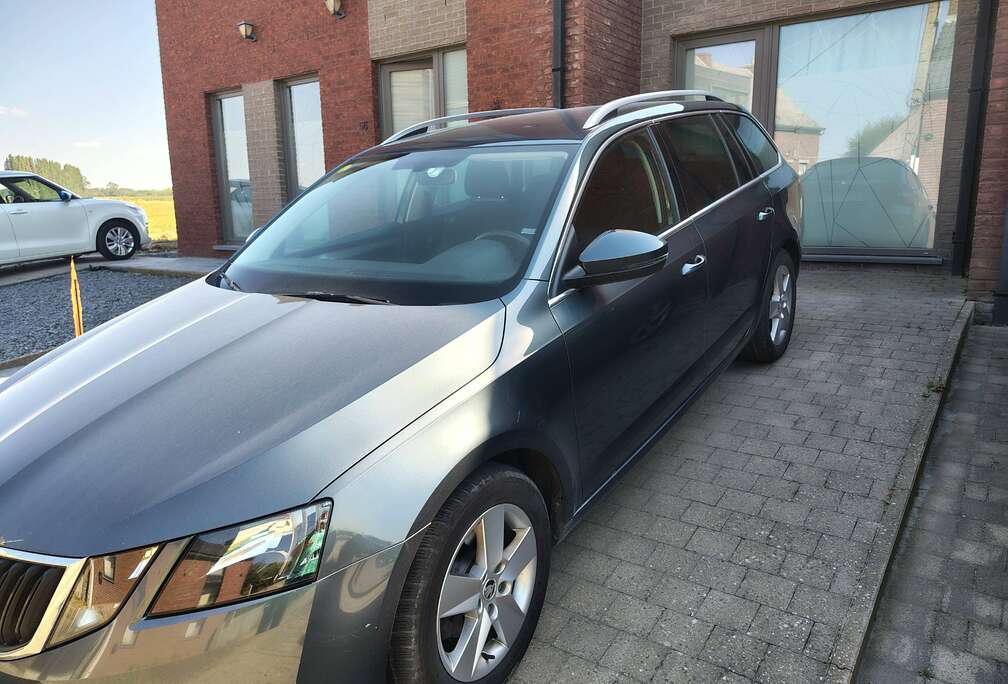Skoda Octavia SW 1.6 CR TDi Style DSG (EU6.2)