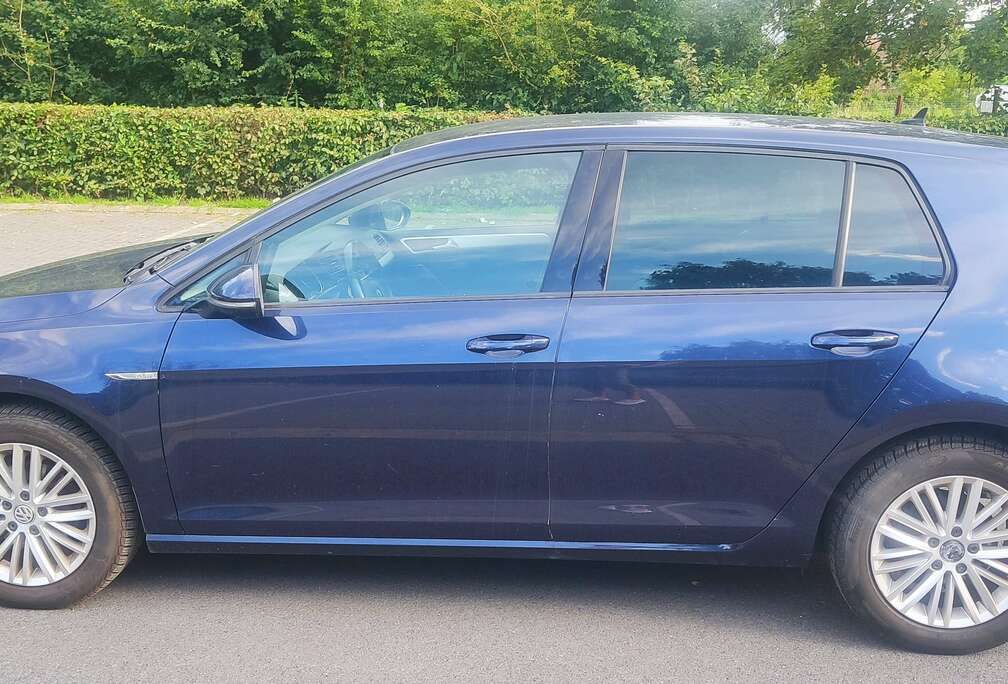 Volkswagen 1.6 CR TDi Trendline