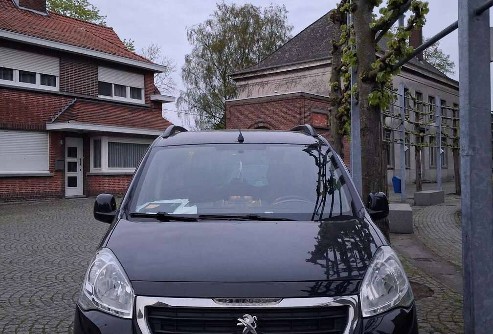 Peugeot Tepee HDi FAP 110 Premium