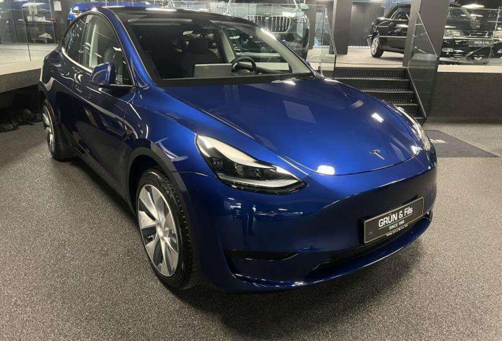 Tesla Standart