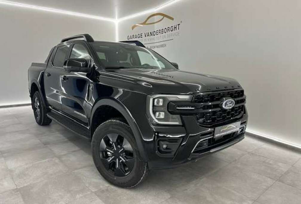 Ford STORMTRAK PLUG-IN HYBRID NIEUW OKM 48700+BTW