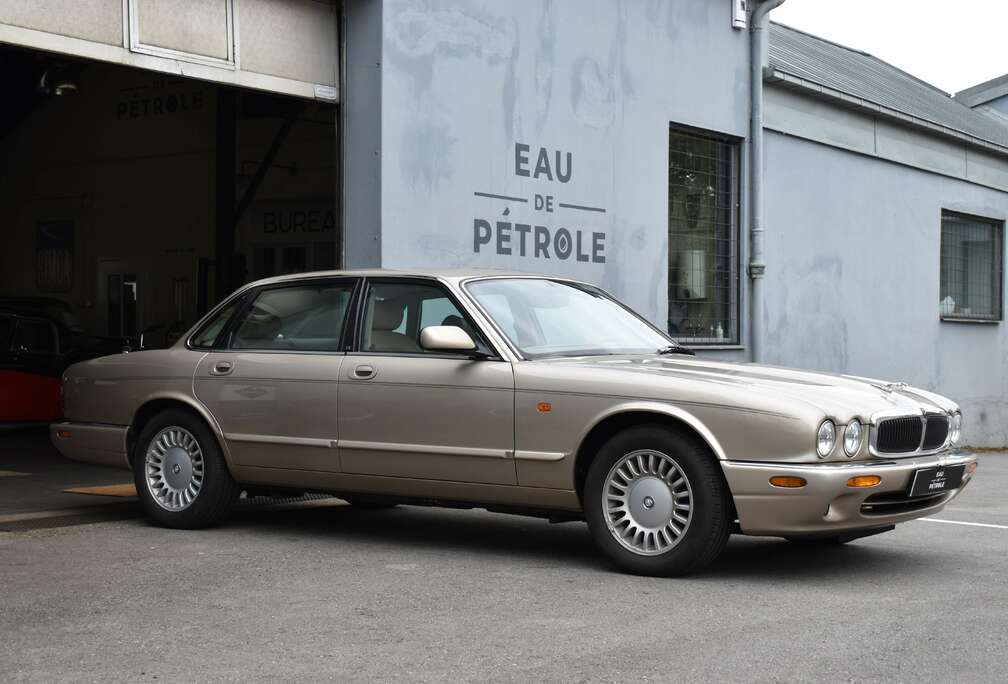 Jaguar