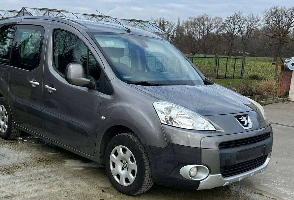 Peugeot 1.6 HDi