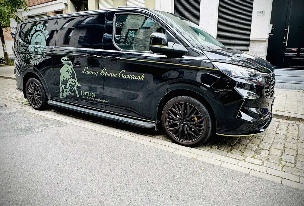 Ford 2.0 TDCi L2H1 Limited S/S (EU6.2)