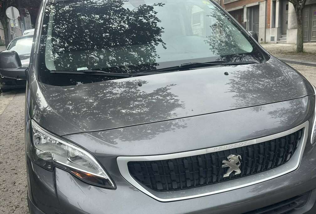 Peugeot 2.0 HDi 229 L2H1 FAP