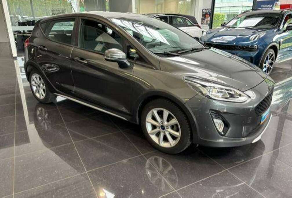 Ford Fiesta Active 1.0 EcoBoost Active Navigatie/1j gar(1)