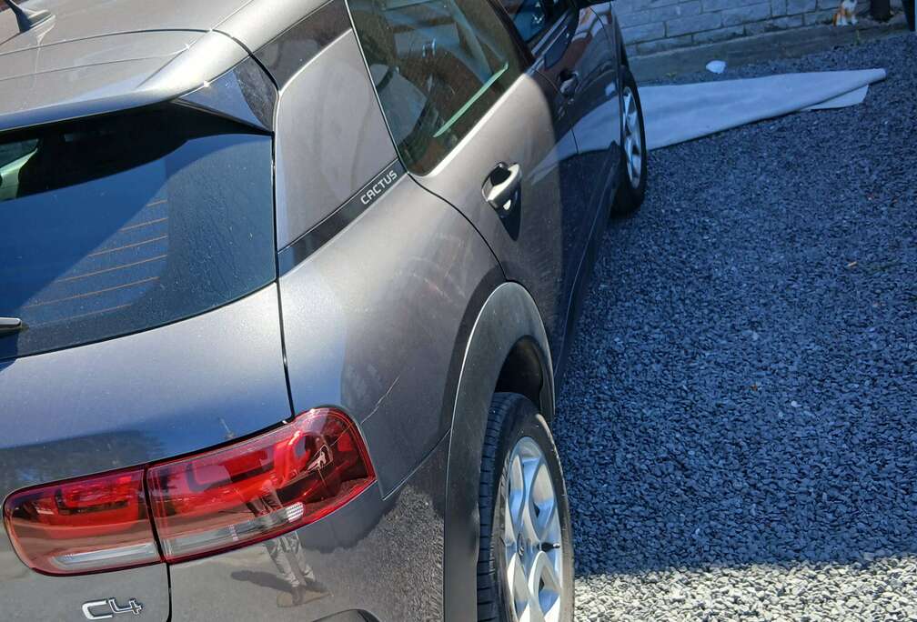 Citroen C4 Cactus 1.6 BlueHDi Business GPS (Fleet)