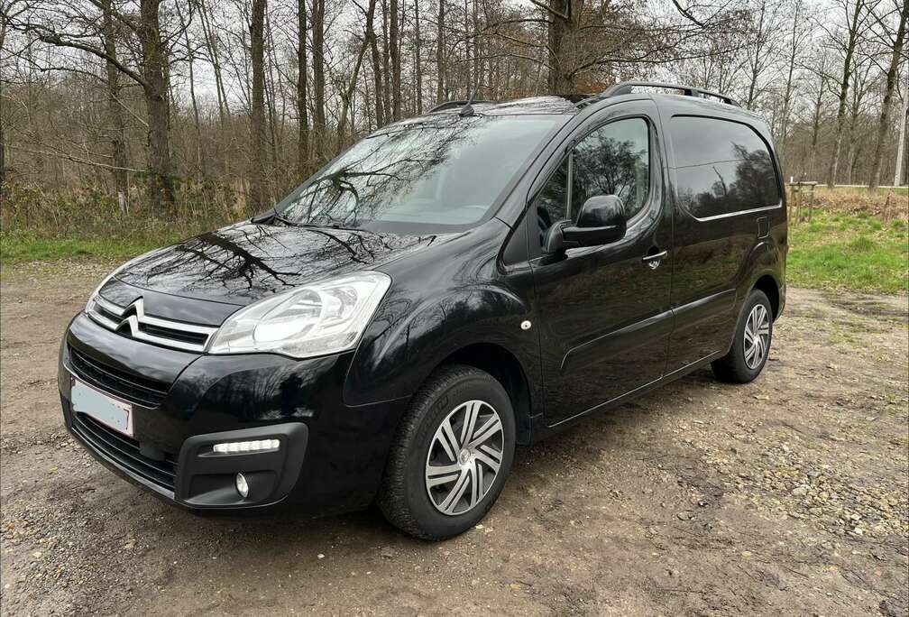 Citroen L1 1.6 BlueHDi 75 FAP Profi
