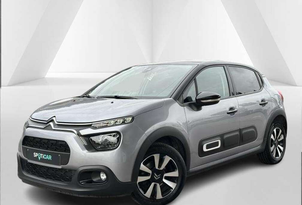 Citroen Max
