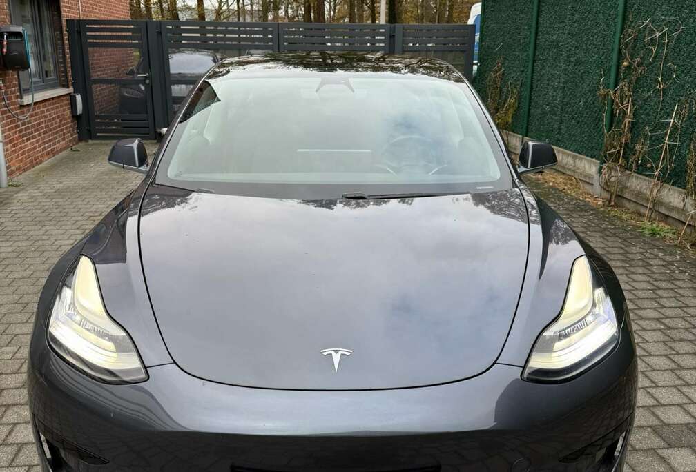 Tesla Standard Reichweite Plus Hinterradantrieb