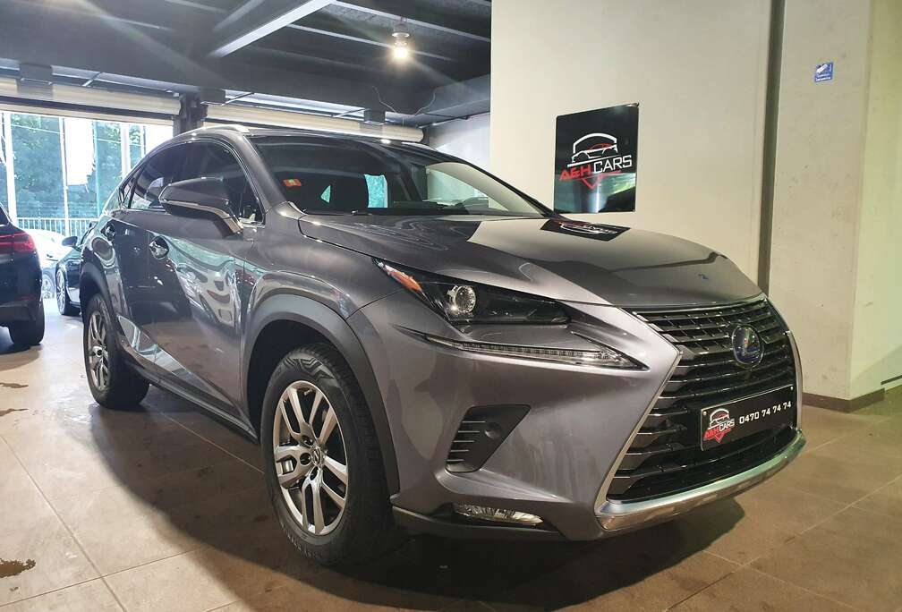 Lexus 2.5i AWD Executive Line E-CVT (EU6.2)