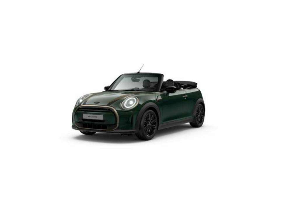 MINI RESOLUTE EDITION/Rebel Green