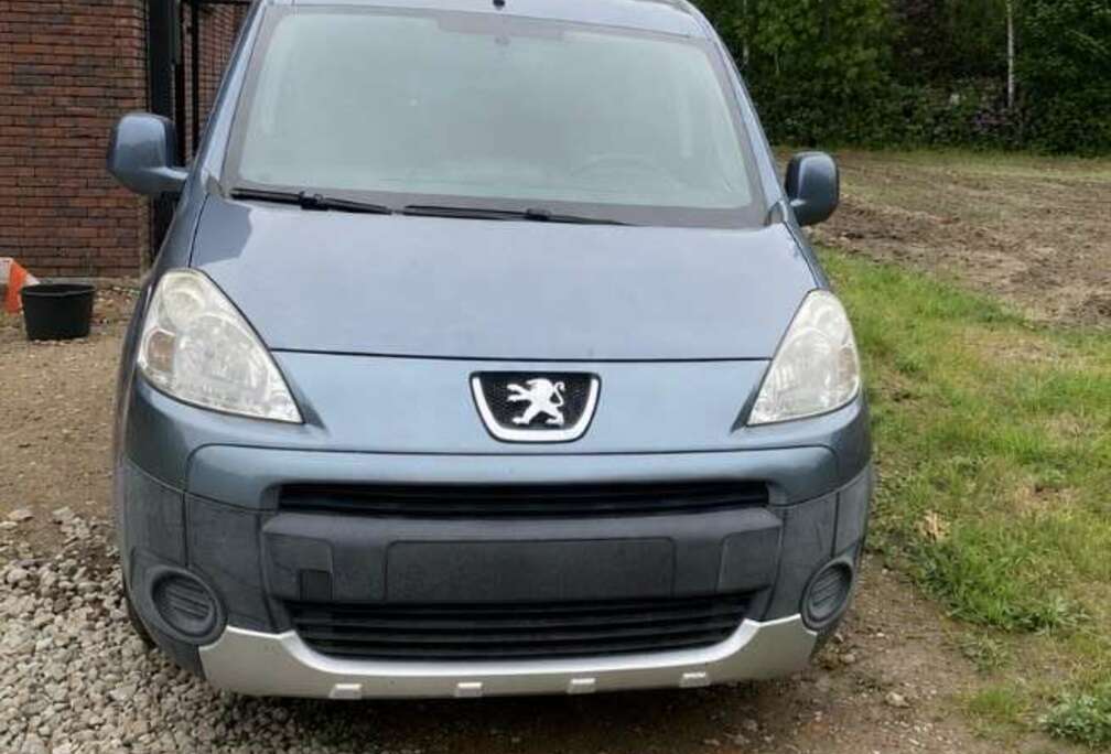 Peugeot 1.6 HDi L1H1 Confort 122
