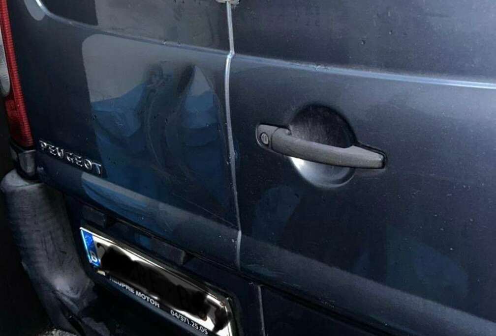 Peugeot 2.0 HDi 229 L2