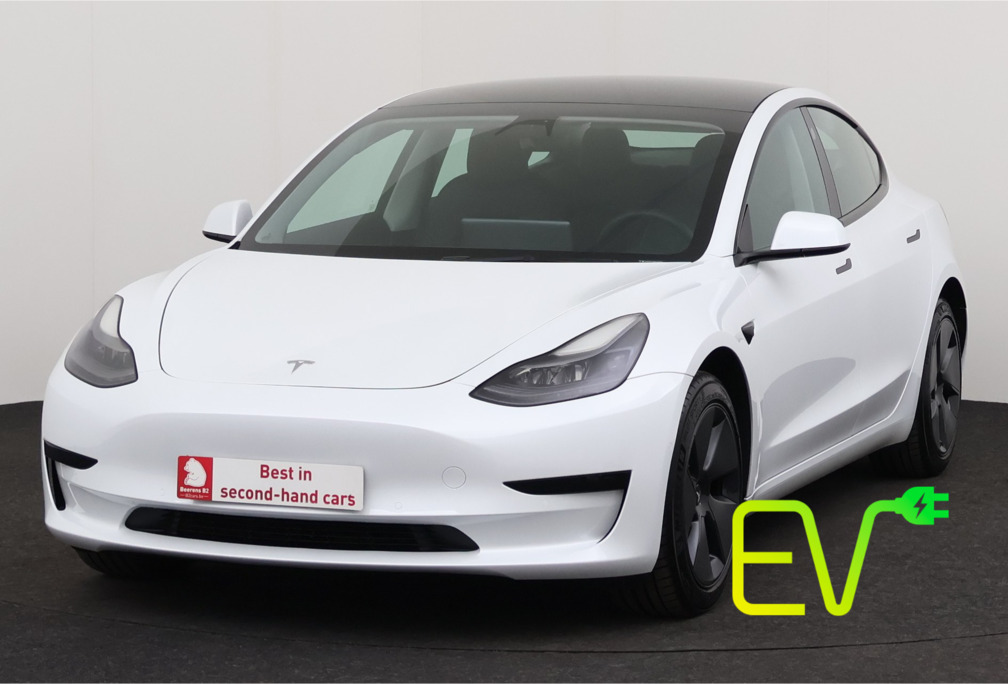 Tesla STANDARD PLUS 55 kWh + GPS + LEDER + CAMERA + PDC