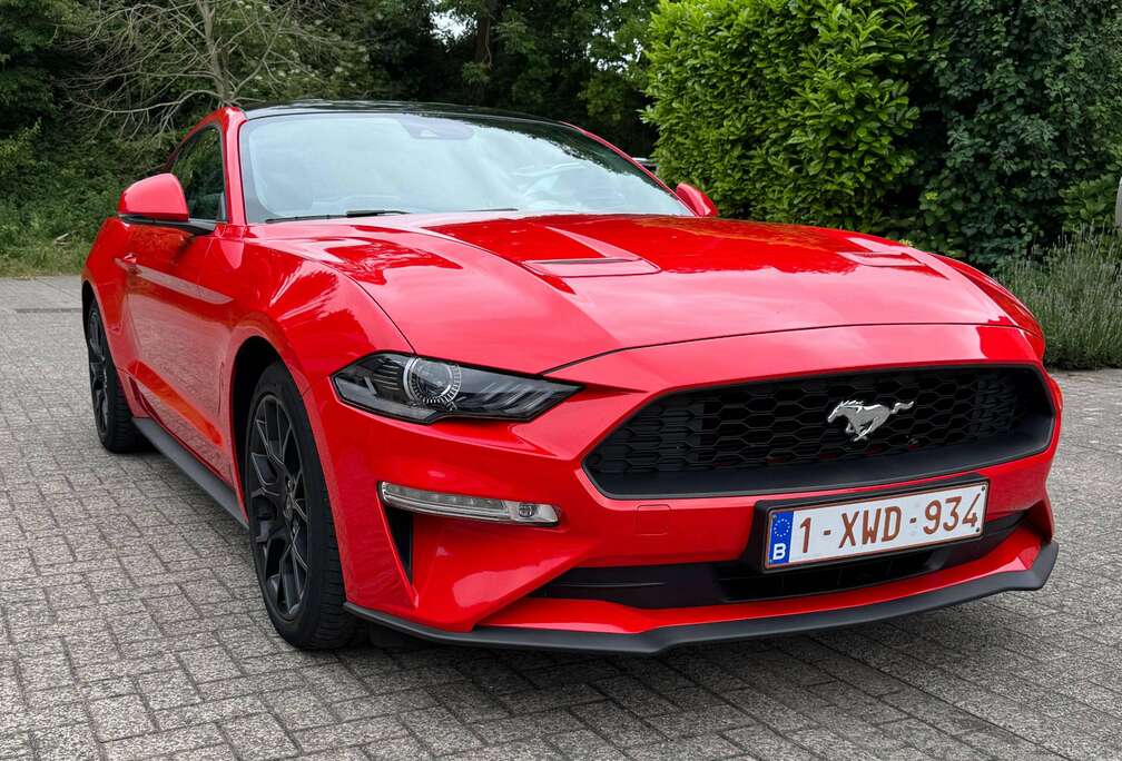 Ford Mustang 2.3 EcoBoost (EU6.2)