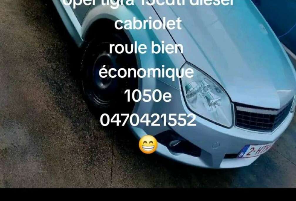 Opel Twintop 1.3 DT CDTi 16v Enjoy