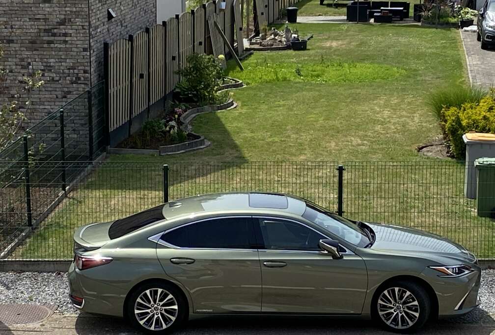 Lexus 300h Luxury Line