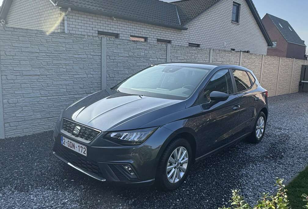 SEAT Seat Ibiza 40y