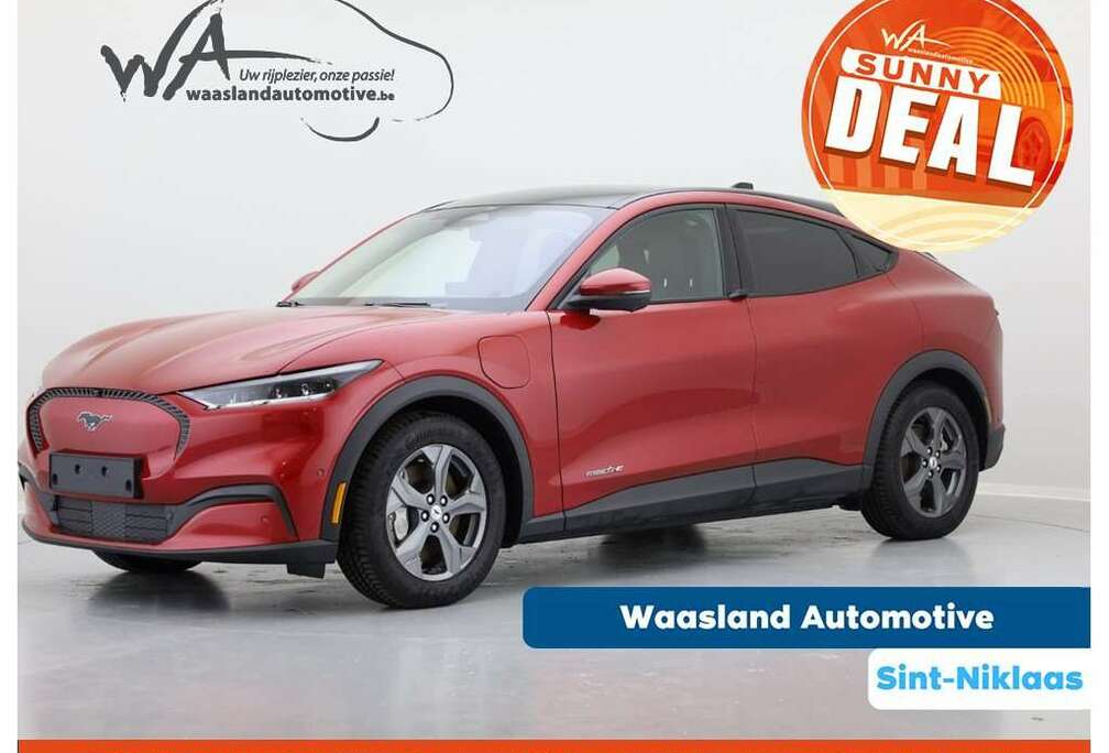 Ford RWD Standard Range 76kWh - 269pk - Directiewagen