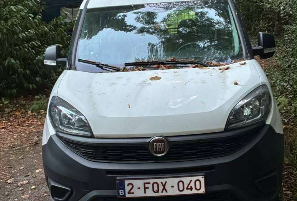 Fiat Doblo Cargo Maxi