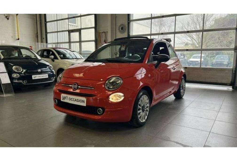 Fiat Cult Limited