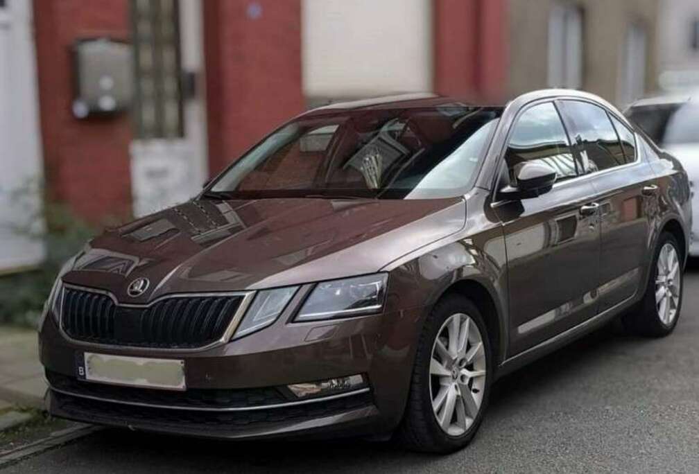 Skoda 2.0 CR TDi style DSG