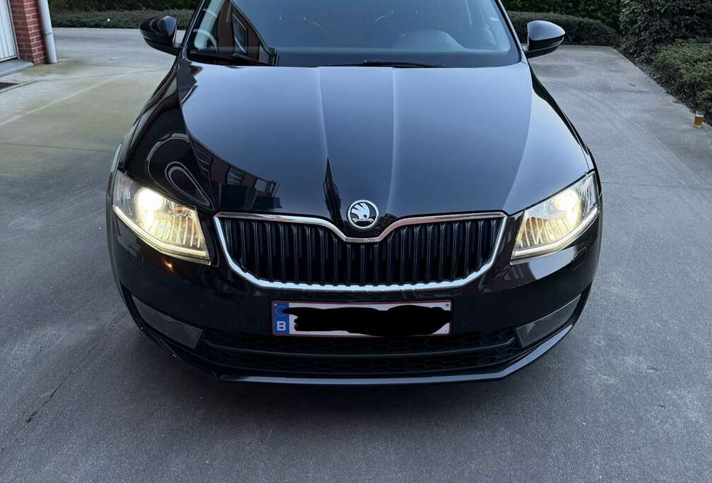 Skoda SW 2.0 CR TDi Style DSG