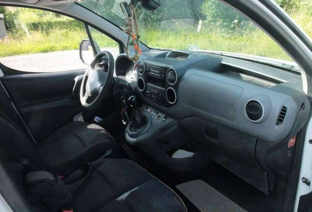 Citroen 1.9 D SX Hayon/Achterklep