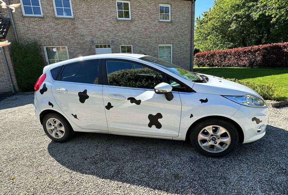 Ford Fiesta 1.6 TDCi Titanium ECOnetic DPF