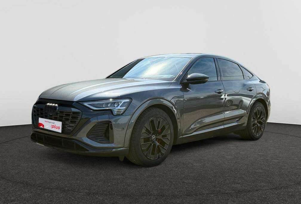 Audi Sportback Audi Q8 Sportback e-tron Competition 55 e-tron quattro 300,00 kW