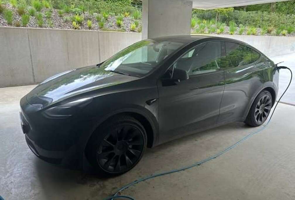 Tesla Model Y RWD