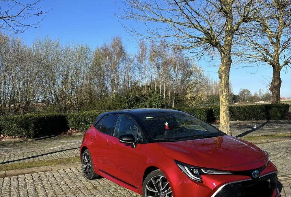 Toyota Hybrid 2.0 Premium e-CVT