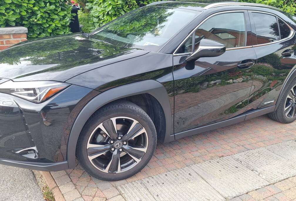Lexus UX 250h 2.0i FWD Business Line