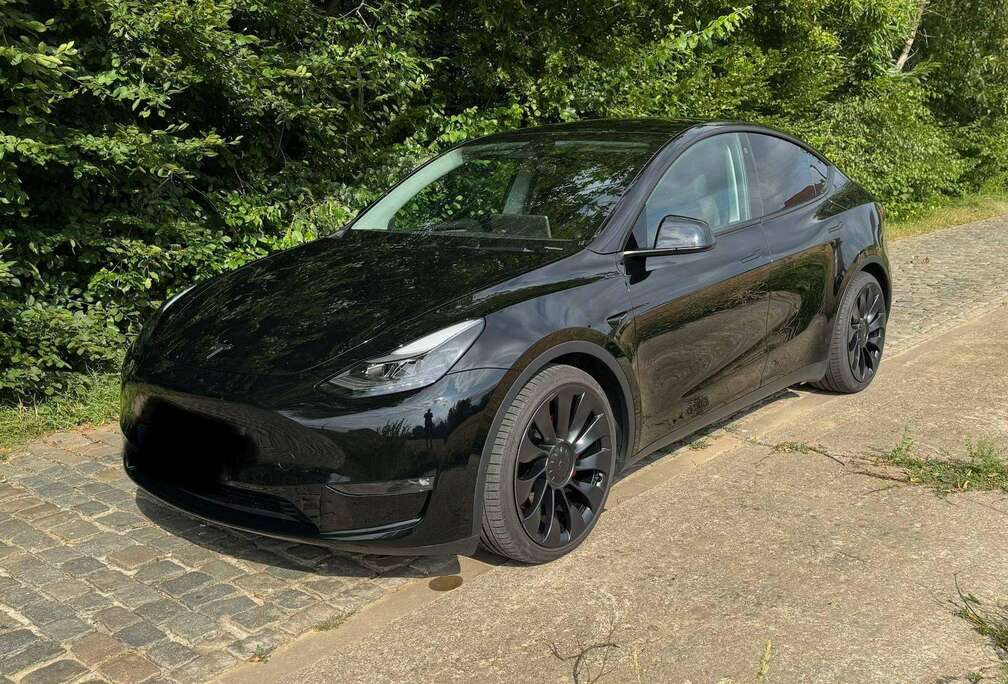 Tesla Model Y 72.5 kWh Dual Motor Performance (377 kW)