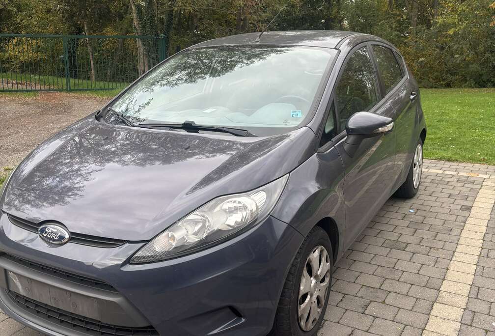Ford 1.6 TDCi 95 FAP ECOnetic