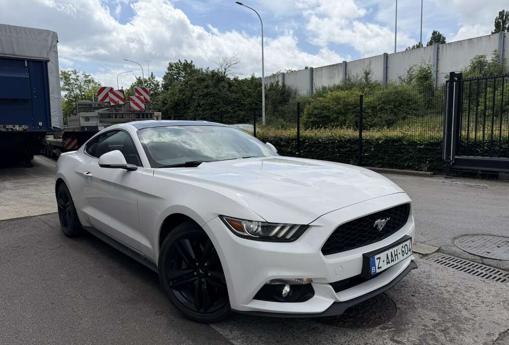 Ford Mustang 2.3 EcoBoost Blue Edition