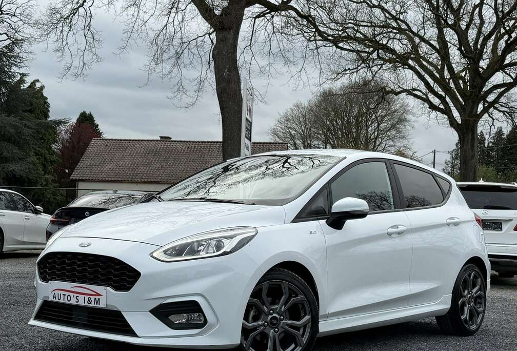 Ford 1.0 EcoBoost ST-Line 2019 Camera Lijn assist Garantie