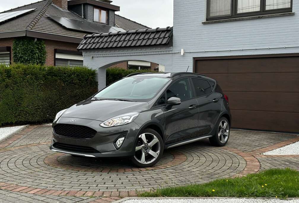 Ford Fiesta Active/2019/1.0 Ecoboost/Magnetic Gray