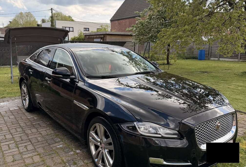 Jaguar Luxury