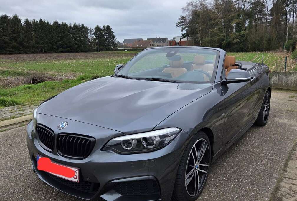 BMW Cabrio 218i
