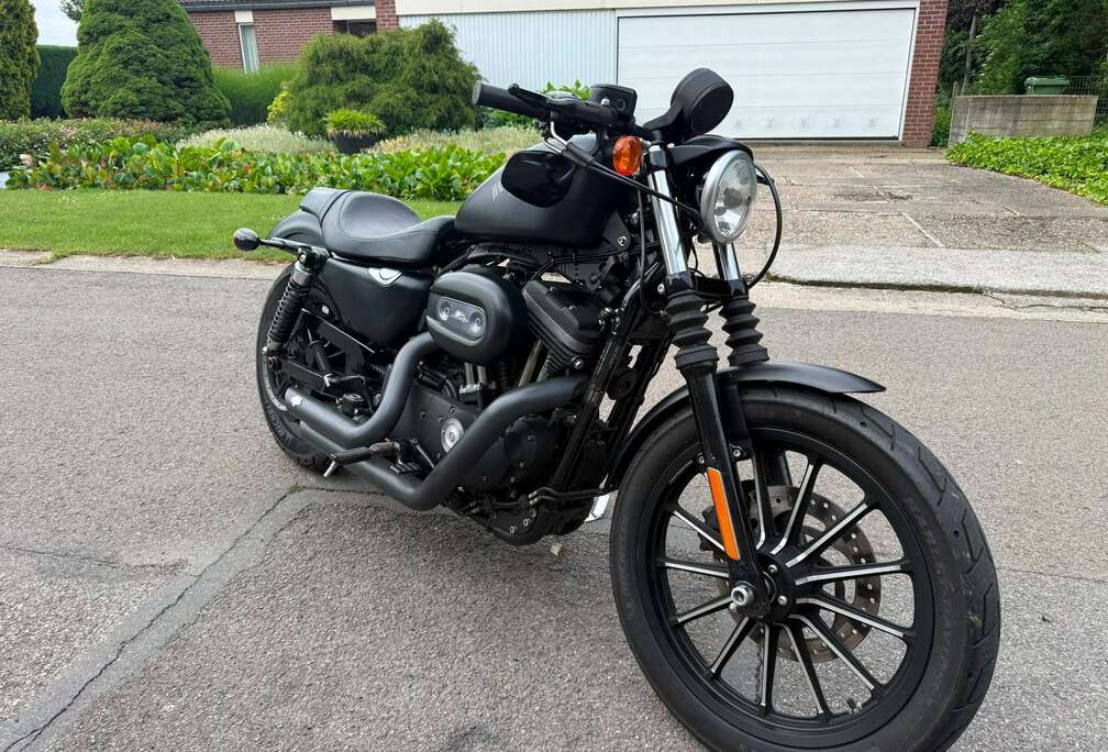 Sporster