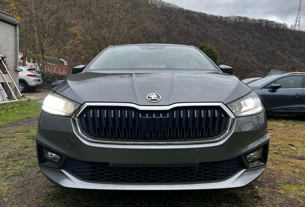 Skoda Fabia 1.0 TSI Clever