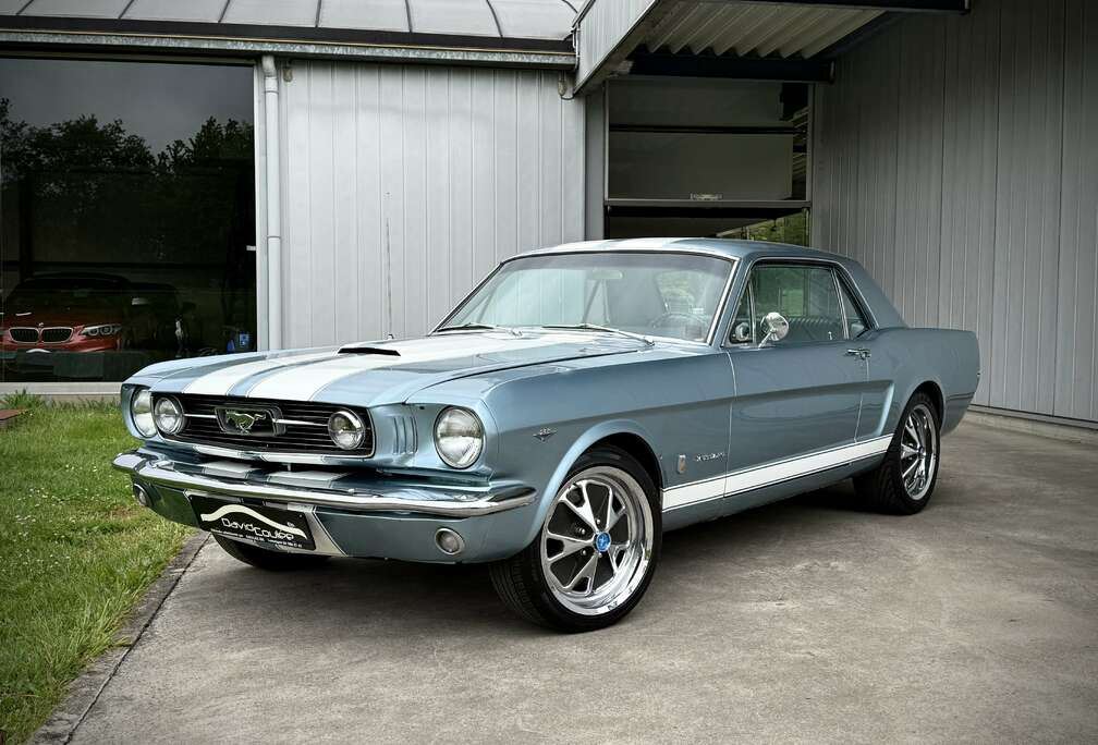 Ford 4.7 - 225ch, Pony Interior