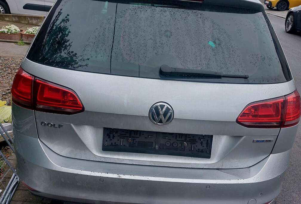 Volkswagen Golf Alltrack 1.6 CR TDi 4Motion